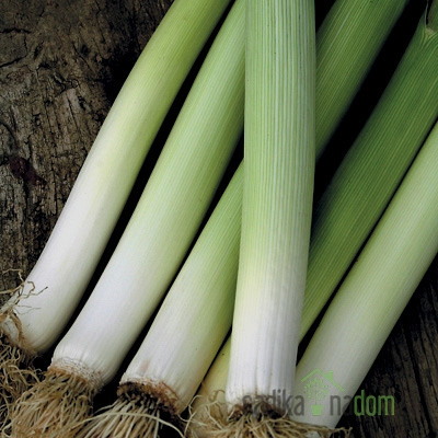 Seme BIO Por Carentan 3 A614