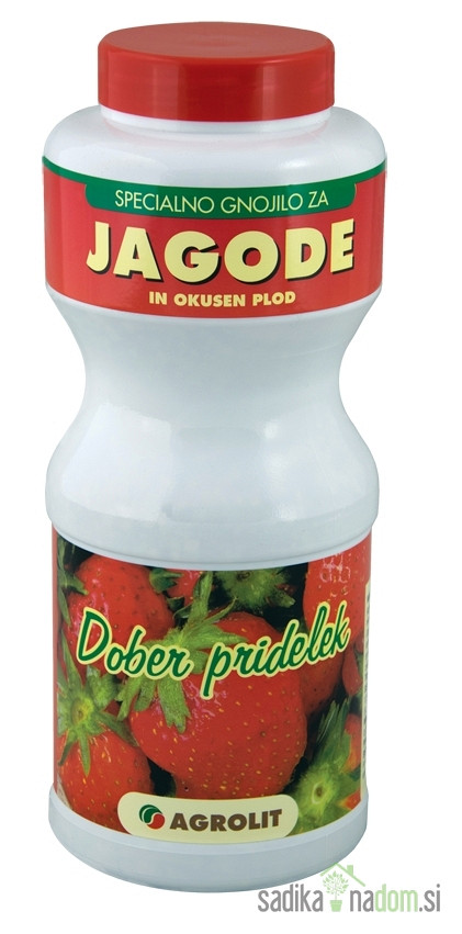 Agrolit gnojilo za jagode