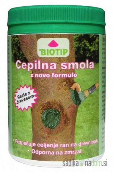Cepilna smola Biotip
