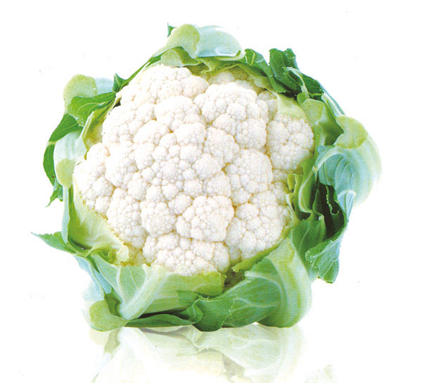 Seme cvetača Di Jesi 2