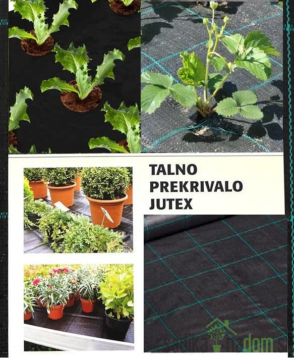 Talno prekrivalo Jutex