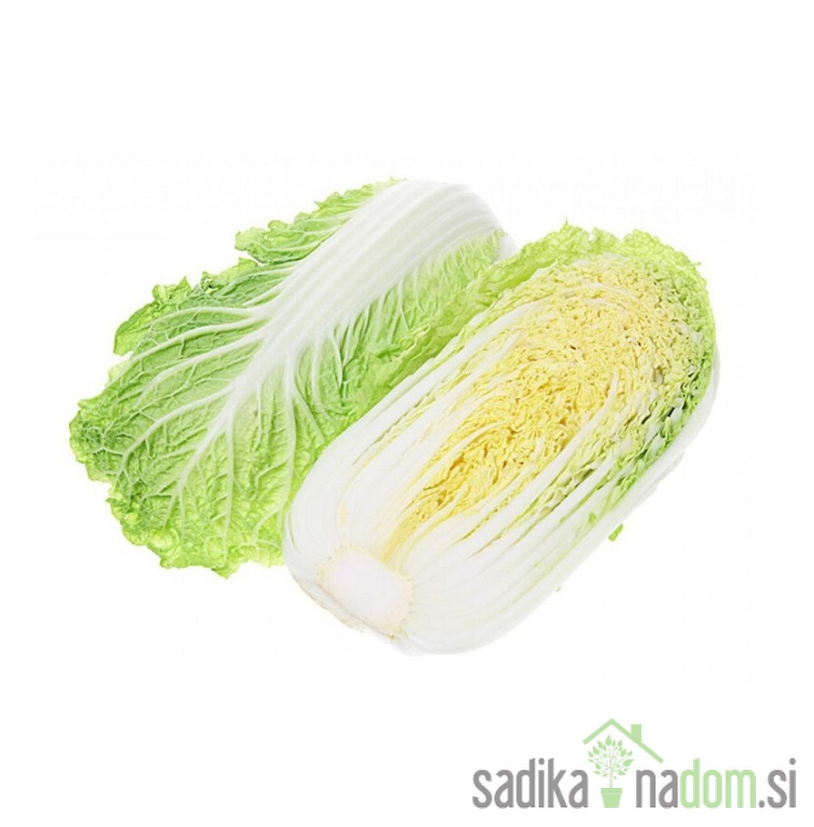 Seme kitajsko zelje Granat