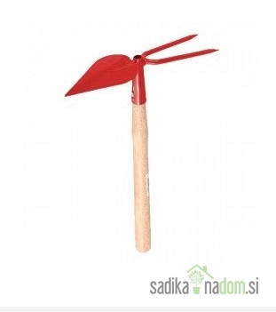 Motičnica nasajena koničasta