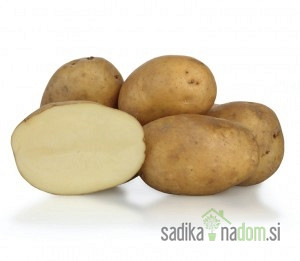 Semenski krompir KIS Sora
