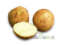 Semenski krompir La Strada