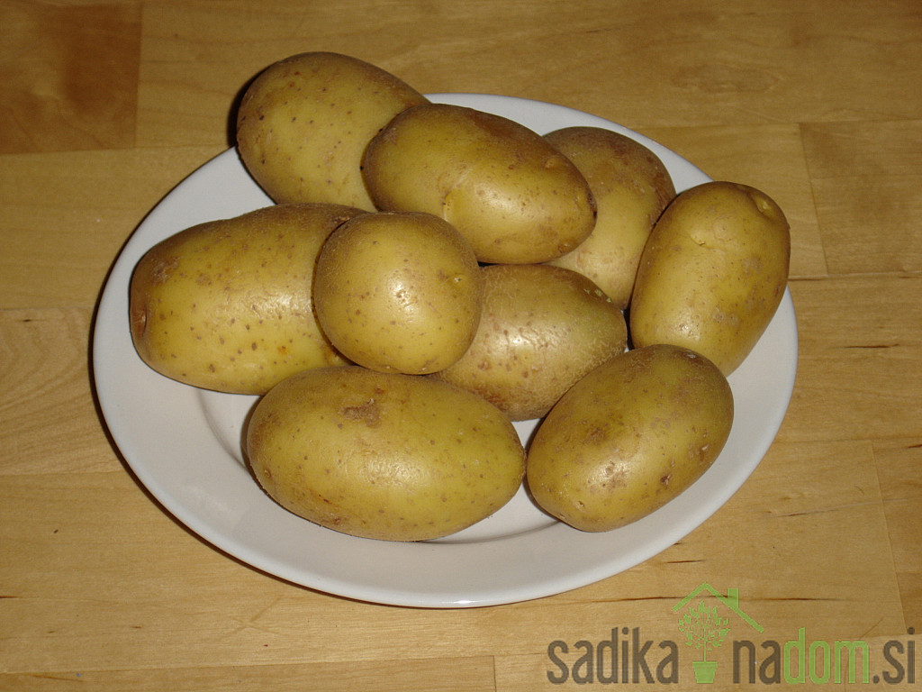 Semenski krompir Marabel