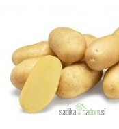 Semenski krompir Ranomi