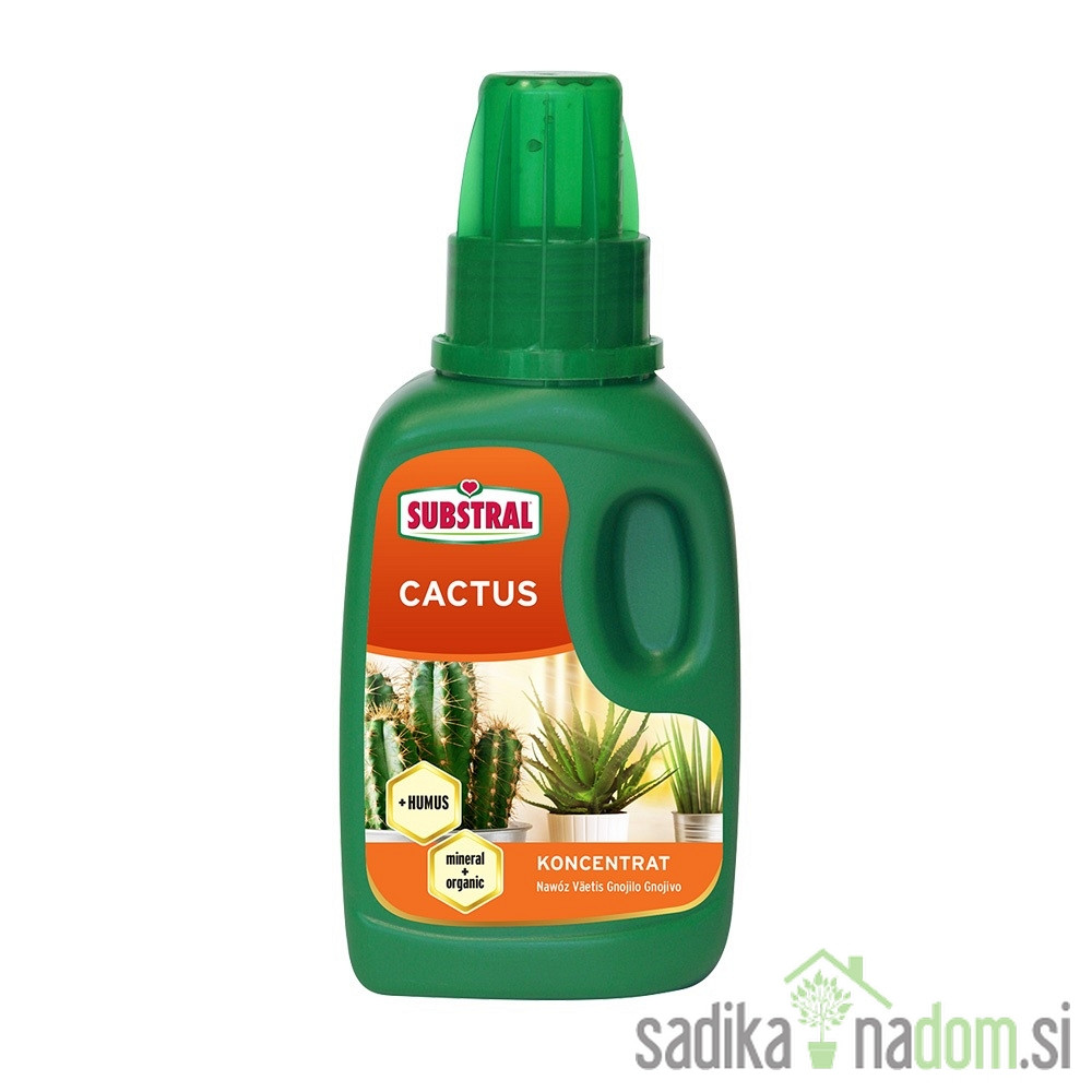 Substral gnojilo za kaktuse, sukulente in bonsaje