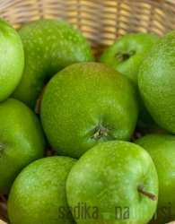 Jablana Granny Smith