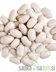 Seme Fižol Tetovec Kiro