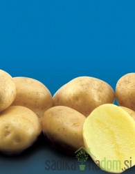 Semenski krompir Artemis - NADOMESTNA SORTA ZA ARINDO