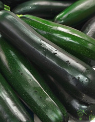 Seme bučka Black Beauty