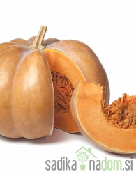 Seme Buča muškatna Muscat de Provanse A709