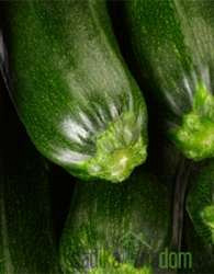 Bučka Elite / Safari/ Startgreen