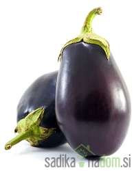 Jajčevec Black Bell