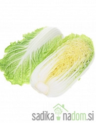 Seme kitajsko zelje Granat