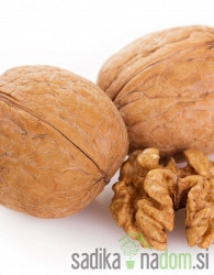 Oreh Chandler - EXTREMNO DEBEL