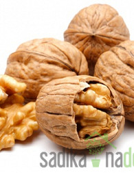 Oreh Tulare - REDKO POZEBE