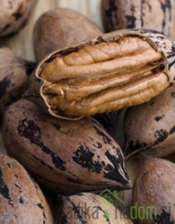 Oreh pekan / pecan Wichita