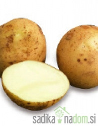 Semenski krompir La Strada