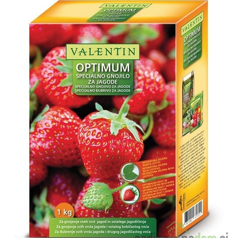 Valentin Optimum gnojilo za jagode