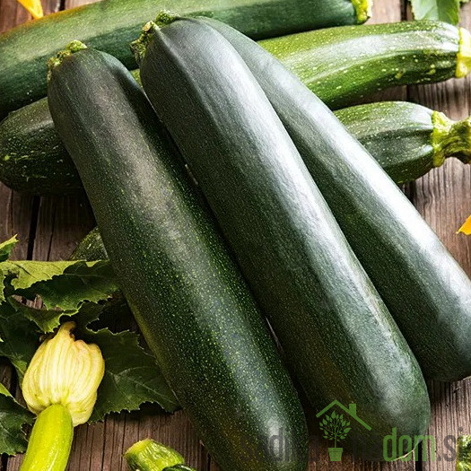 Seme bučke Nero di Milano 958