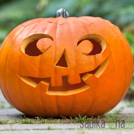 Seme Buča Noč čarovnic A702