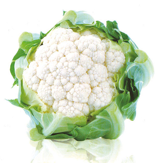 Seme cvetača Di Jesi 2