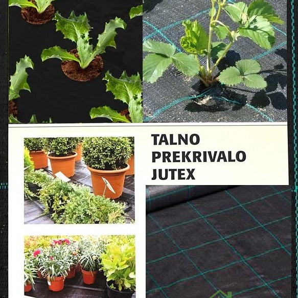 Talno prekrivalo Jutex