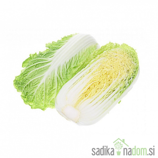 Seme kitajsko zelje Granat