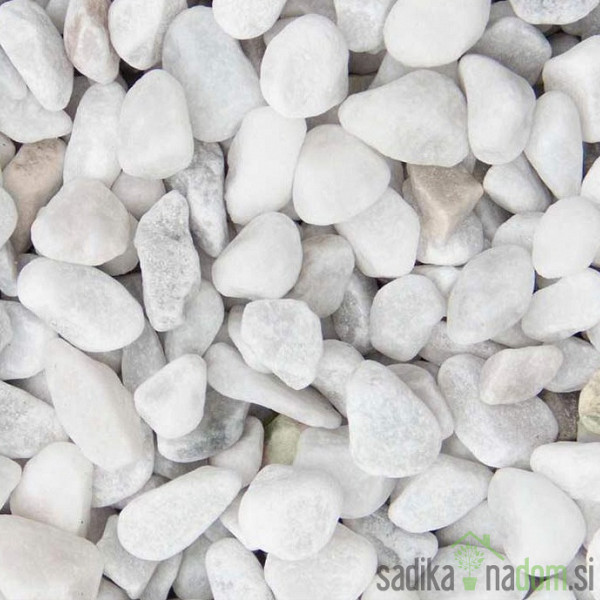 Okrasni pesek prodnik Carrara Bianco - Beli