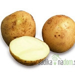 Semenski krompir La Strada