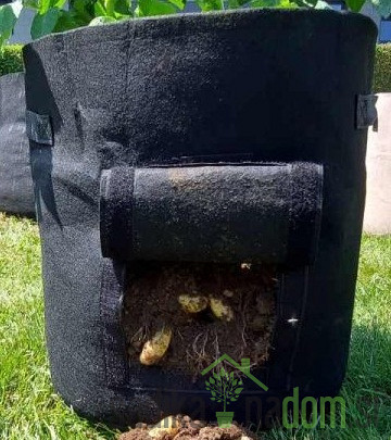 Homeogarden - Sadilna vreča PlantIN